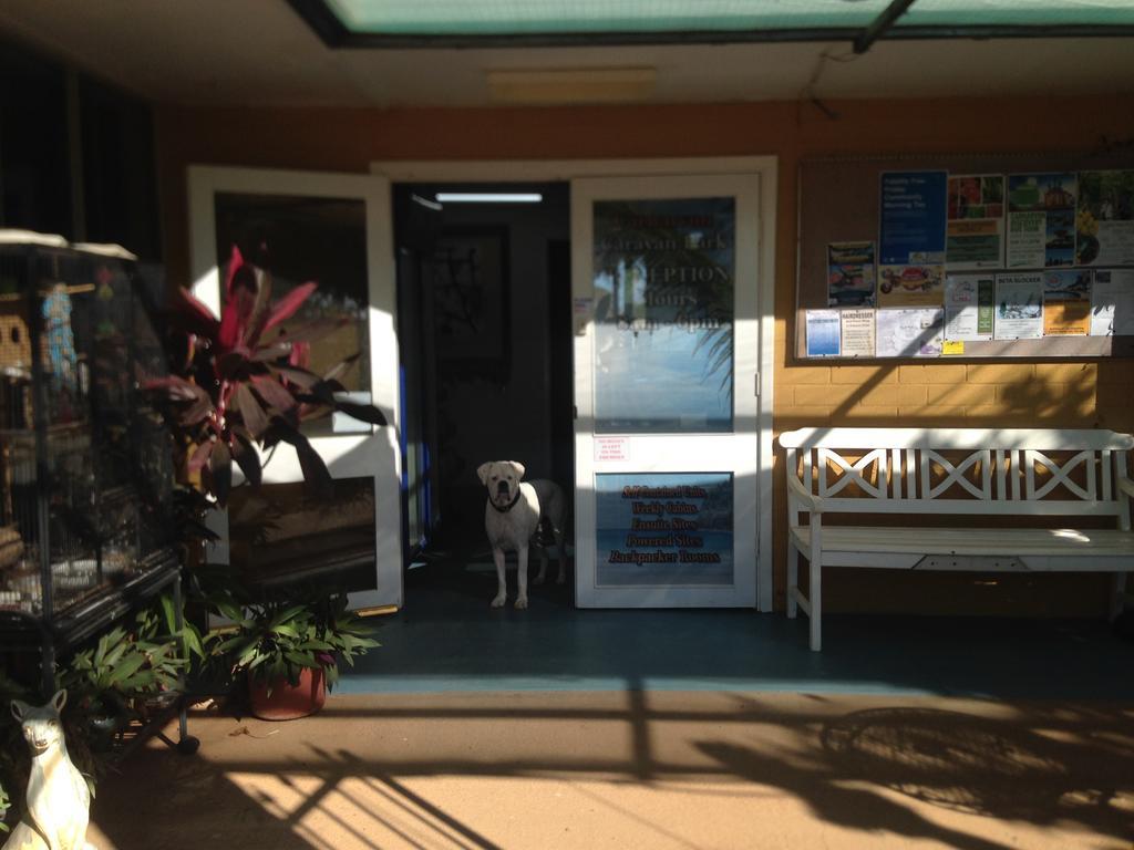 Carnarvon Caravan Park Exteriér fotografie